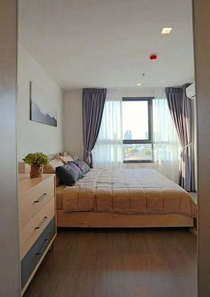 IDEO Sukhumvit 93, bangkok, 2331 Soi Sukhumvit 93, Bang Chak, Phra Khanong, Bangkok, 1 Bedroom, 34 sqm, Condo For Rent, by Supatsorn Promsombut, 500581487 - DDproperty.com