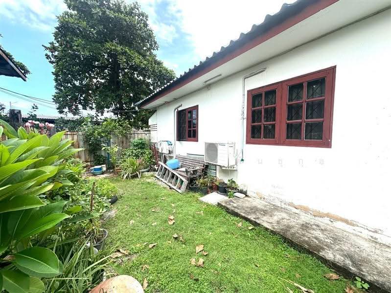 ห้องเช่า + บ้าน 2 ชั้น 300 ตร.ว. ซอยแพรกษา35 ใกล้นิคมอุตสาหกรรมบางปู, สมุทรปราการ, ถนนแพรกษา, ท้ายบ้านใหม่, เมืองสมุทรปราการ, สมุทรปราการ, 1,200 ตร.ม., กิจการ ขาย, โดย คุณ จิดาภา พันธุกุล (แอม), 500581498 - DDproperty.com
