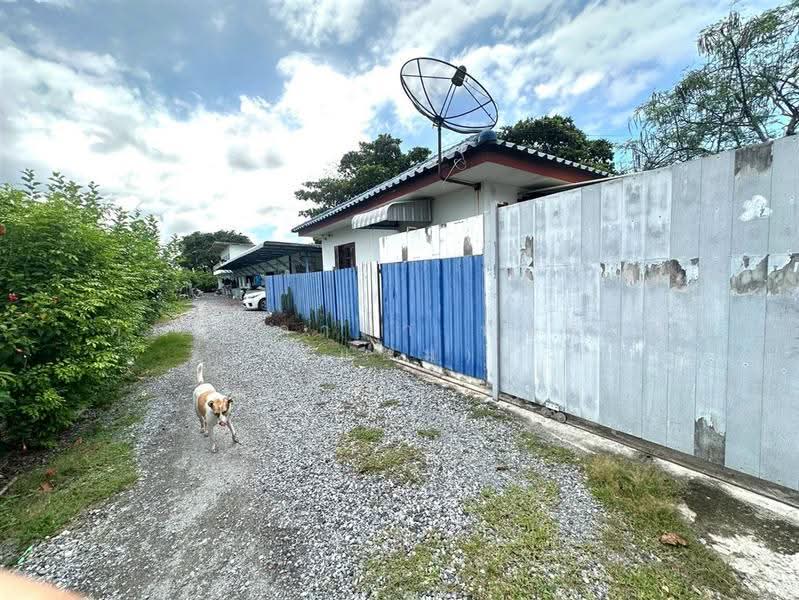 ห้องเช่า + บ้าน 2 ชั้น 300 ตร.ว. ซอยแพรกษา35 ใกล้นิคมอุตสาหกรรมบางปู, สมุทรปราการ, ถนนแพรกษา, ท้ายบ้านใหม่, เมืองสมุทรปราการ, สมุทรปราการ, 1,200 ตร.ม., กิจการ ขาย, โดย คุณ จิดาภา พันธุกุล (แอม), 500581498 - DDproperty.com