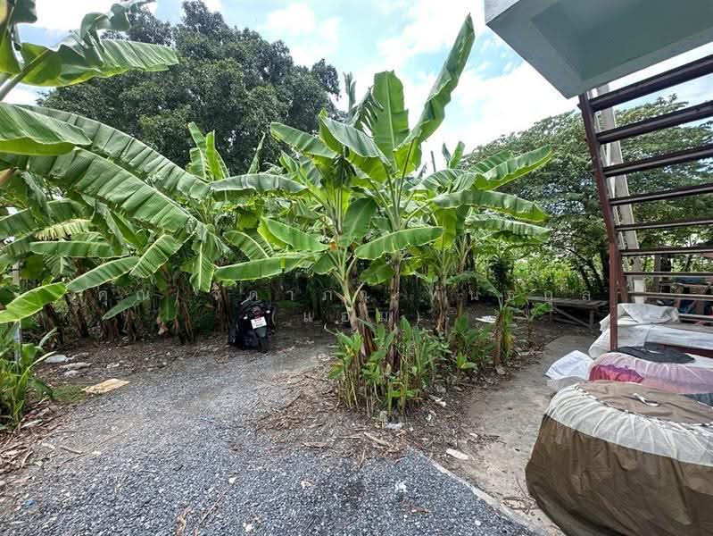 ห้องเช่า + บ้าน 2 ชั้น 300 ตร.ว. ซอยแพรกษา35 ใกล้นิคมอุตสาหกรรมบางปู, สมุทรปราการ, ถนนแพรกษา, ท้ายบ้านใหม่, เมืองสมุทรปราการ, สมุทรปราการ, 1,200 ตร.ม., กิจการ ขาย, โดย คุณ จิดาภา พันธุกุล (แอม), 500581498 - DDproperty.com