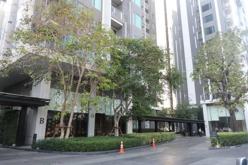 CEIL by Sansiri, bangkok, 11 Soi Ekamai 12, Sukhumvit 63 Road, Khlong Tan Nua, Watthana, Bangkok, 1 Bedroom, 48 sqm, Condo For Sale, by Thanyalak Ajmera, 500581508 - DDproperty.com