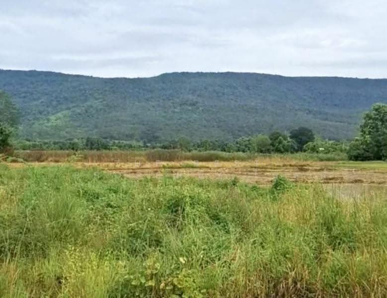 ที่ดินพาน เชียงราย, chiang-rai, Sun Ma Khet, Phan, Chiang Rai, , 1,600 sqm, Land For Sale, by The Best Property ไนล์, 500581834 - DDproperty.com