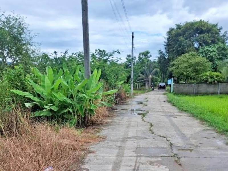 ที่ดินพาน เชียงราย, chiang-rai, Sun Ma Khet, Phan, Chiang Rai, , 1,600 sqm, Land For Sale, by The Best Property ไนล์, 500581834 - DDproperty.com