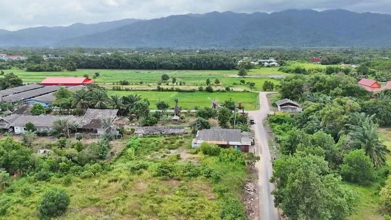 ที่ดินคลองนารายณ์ จันทบุรี, จันทบุรี, คลองนารายณ์, เมืองจันทบุรี, จันทบุรี, 890 ตร.ม., ที่ดิน ขาย, โดย The Best Property โชติ, 500582047 - DDproperty.com