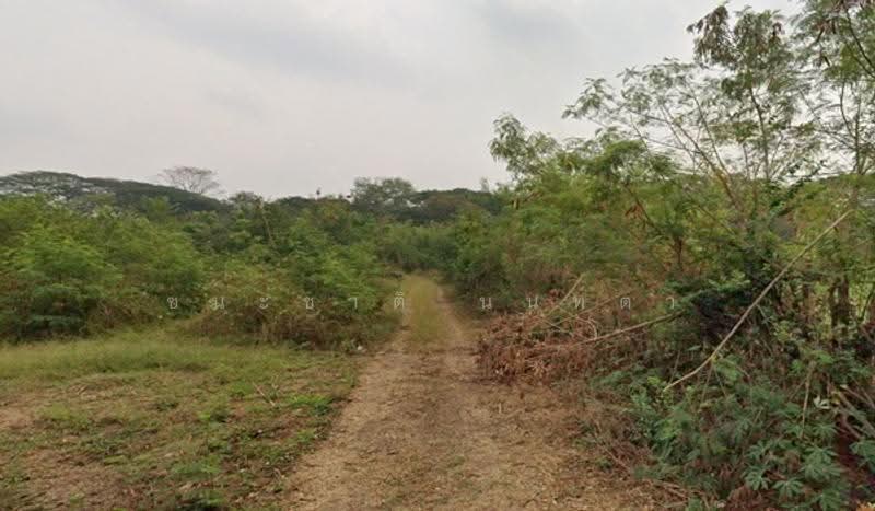 ถนนพิทักษ์ประชา, Khon Kaen, Khao Suan Kwang, Khao Suan Kwang, Khon Kaen, , 5,856 sqm, Land For Sale, by ชนะชาติ นนท์ตา, 500582078 - DDproperty.com