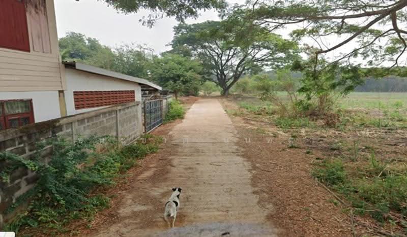 ถนนพิทักษ์ประชา, Khon Kaen, Khao Suan Kwang, Khao Suan Kwang, Khon Kaen, , 5,856 sqm, Land For Sale, by ชนะชาติ นนท์ตา, 500582078 - DDproperty.com