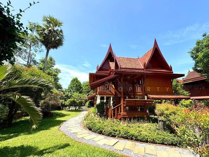 Phuket-Thaihouse, phuket, -, Thep Krasattri, Thalang, Phuket, 3 Bedrooms, 400 sqm, Single Detached House For Rent, by Connex Property, 500582252 - DDproperty.com