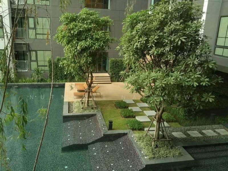 Rhythm Sukhumvit 36-38, bangkok, 55 Soi Sukhumvit 36, Sukhumvit Road, Phra Kanong, Khlong Toei, Bangkok, 2 Bedrooms, 55 sqm, Condo For Rent, by Nutnaree Nakkaew, 500582253 - DDproperty.com