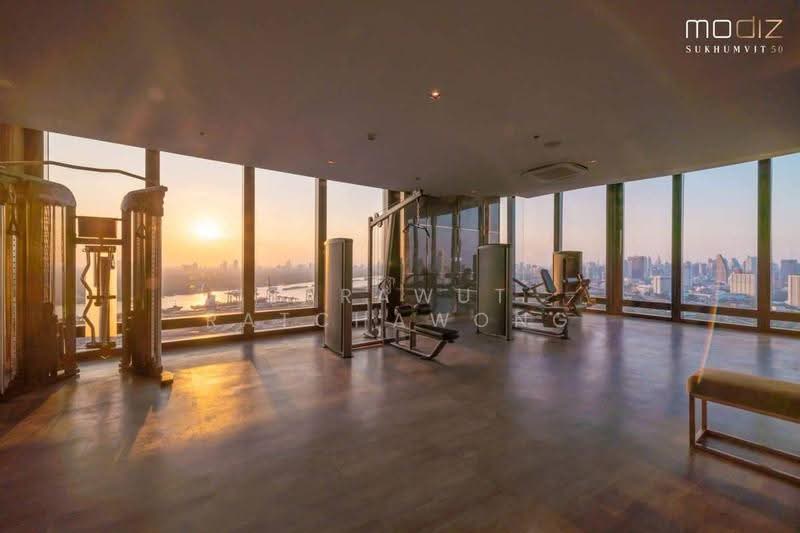 Modiz Sukhumvit 50, Bangkok, Soi Sukhumvit 50, Phra Kanong, Khlong Toei, Bangkok, 1 Bedroom, 30 sqm, Condo For Rent, by Sarawut Ratchawong, 500582300 - DDproperty.com
