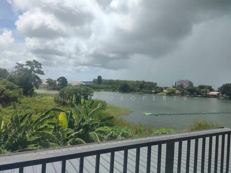 Newly built semi-detached pool villa in Chalong, Phuket., phuket, -, Chalong, Muang Phuket, Phuket, 3 Bedrooms, 246 sqm, Single Detached House For Rent, by Connex Property, 500582374 - DDproperty.com