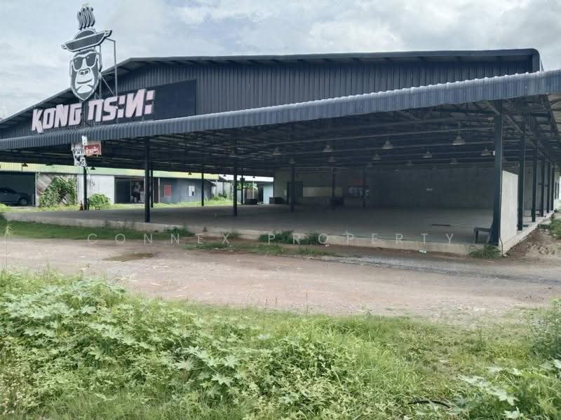 Land for rent Thalang Phuket Kong krata, phuket, เทพกระษัตรี, Sri Sunthon, Thalang, Phuket, , 4,400 sqm, Land For Rent, by Connex Property, 500582499 - DDproperty.com