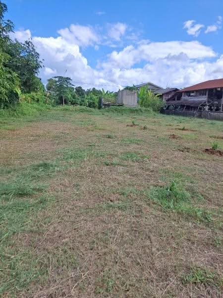 ที่ดินเทิง เชียงราย, chiang-rai, San Sai Ngam, Thoeng, Chiang Rai, , 996 sqm, Land For Sale, by The Best Property ไนล์, 500582565 - DDproperty.com