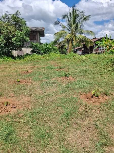 ที่ดินเทิง เชียงราย, chiang-rai, San Sai Ngam, Thoeng, Chiang Rai, , 996 sqm, Land For Sale, by The Best Property ไนล์, 500582565 - DDproperty.com