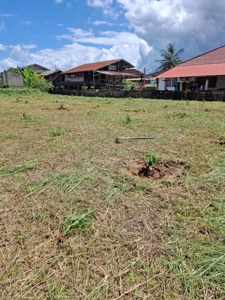 ที่ดินเทิง เชียงราย, chiang-rai, San Sai Ngam, Thoeng, Chiang Rai, , 996 sqm, Land For Sale, by The Best Property ไนล์, 500582565 - DDproperty.com