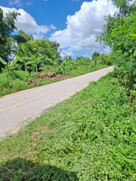 ที่ดินเทิง เชียงราย, chiang-rai, San Sai Ngam, Thoeng, Chiang Rai, , 996 sqm, Land For Sale, by The Best Property ไนล์, 500582565 - DDproperty.com