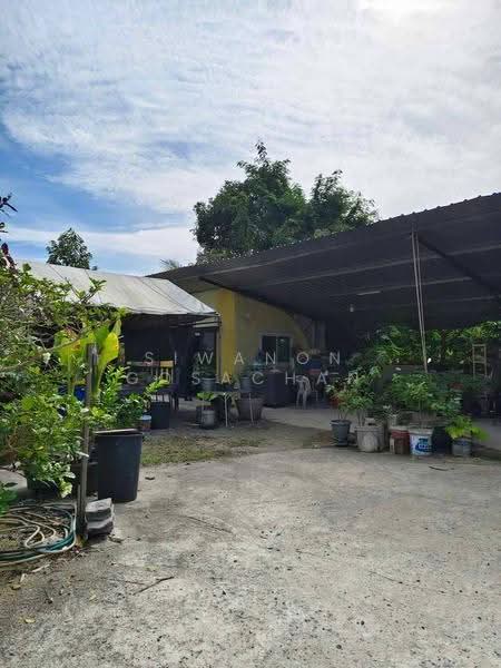 บ้าน 2-ห้องนอน, สุราษฎร์ธานี, บ่อผุด, เกาะสมุย, สุราษฎร์ธานี, 141 ตร.ม., บ้านเดี่ยว ขาย, โดย Siwanon Gosachan, 500582585 - DDproperty.com