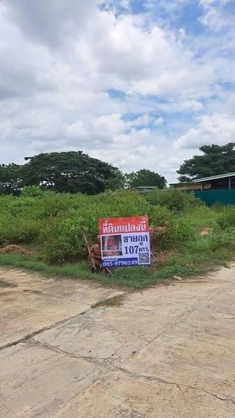 Land, Kamphaeng Saen, Nakhon Pathom, Nakhon Pathom, Kamphaeng Saen, Kamphaeng Saen, Nakhon Pathom, , 428 sqm, Land For Sale, by ศิริภัสสร โชติประยูรศักดิ์, 500582621 - DDproperty.com