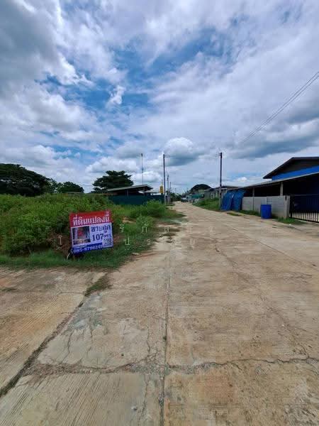 Land, Kamphaeng Saen, Nakhon Pathom, nakhon-pathom, Kamphaeng Saen, Nakhon Pathom, , 428 sqm, Land For Sale, by ศิริภัสสร โชติประยูรศักดิ์, 500582621 - DDproperty.com