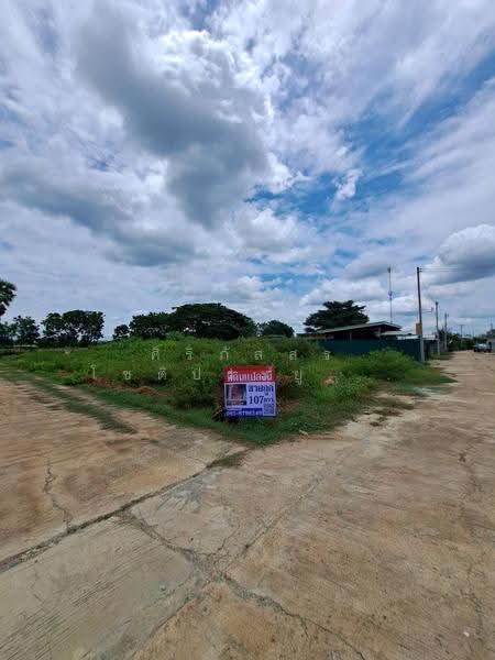 Land, Kamphaeng Saen, Nakhon Pathom, nakhon-pathom, Kamphaeng Saen, Nakhon Pathom, , 428 sqm, Land For Sale, by ศิริภัสสร โชติประยูรศักดิ์, 500582621 - DDproperty.com