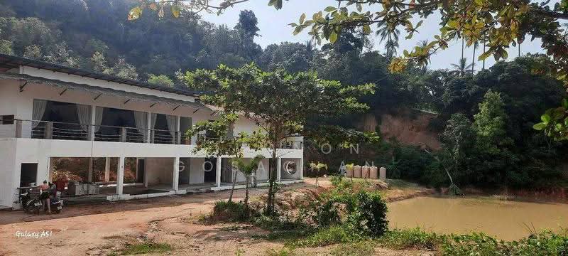 4-BR Villa, Surat Thani, Ko Phangan, Surat Thani, 4 Bedrooms, 582 sqm, Villa For Sale, by Siwanon Gosachan, 500582645 - DDproperty.com