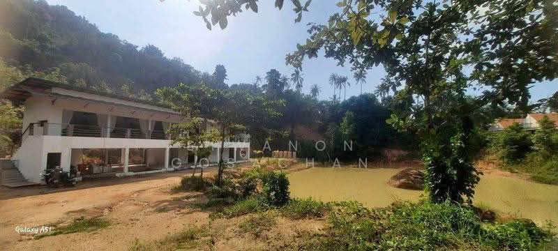 4-BR Villa, Surat Thani, Ko Phangan, Surat Thani, 4 Bedrooms, 582 sqm, Villa For Sale, by Siwanon Gosachan, 500582645 - DDproperty.com