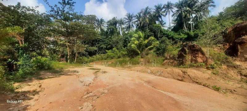 4-BR Villa, Surat Thani, Ko Phangan, Surat Thani, 4 Bedrooms, 582 sqm, Villa For Sale, by Siwanon Gosachan, 500582645 - DDproperty.com