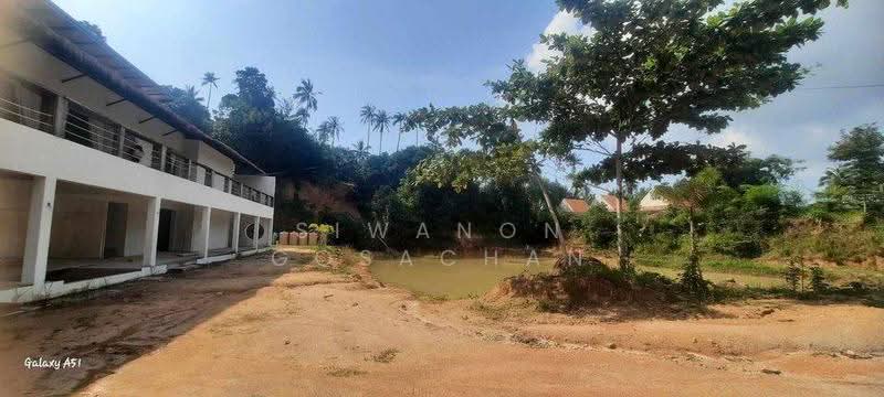 วิลล่า 4-ห้องนอน, สุราษฎร์ธานี, เกาะพะงัน, สุราษฎร์ธานี, 582 ตร.ม., วิลล่า ขาย, โดย Siwanon Gosachan, 500582645 - DDproperty.com
