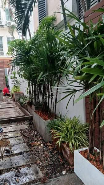 undefined, Bangkok, Wang Thonglang, Bangkok, 3 Bedrooms, 400 sqm, Townhouse For Rent, by Vichai Annavakulthorn, 500582677 - DDproperty.com