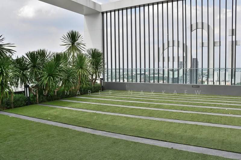 Life Sukhumvit 48, bangkok, Soi Sukhumvit 48, Phra Kanong, Khlong Toei, Bangkok, 1 Bedroom, 38 sqm, Condo For Rent, by Nutnaree Nakkaew, 500582824 - DDproperty.com