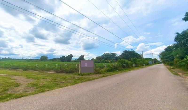 ปากท่อ-ราชบุรี (ทุ่งหลวงซอย 10), ratchaburi, Thung Luang, Pak Tho, Ratchaburi, , 44,268 sqm, Land For Sale, by ชนะชาติ นนท์ตา, 500582895 - DDproperty.com