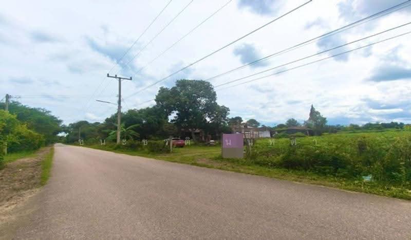 ปากท่อ-ราชบุรี (ทุ่งหลวงซอย 10), ratchaburi, Thung Luang, Pak Tho, Ratchaburi, , 44,268 sqm, Land For Sale, by ชนะชาติ นนท์ตา, 500582895 - DDproperty.com
