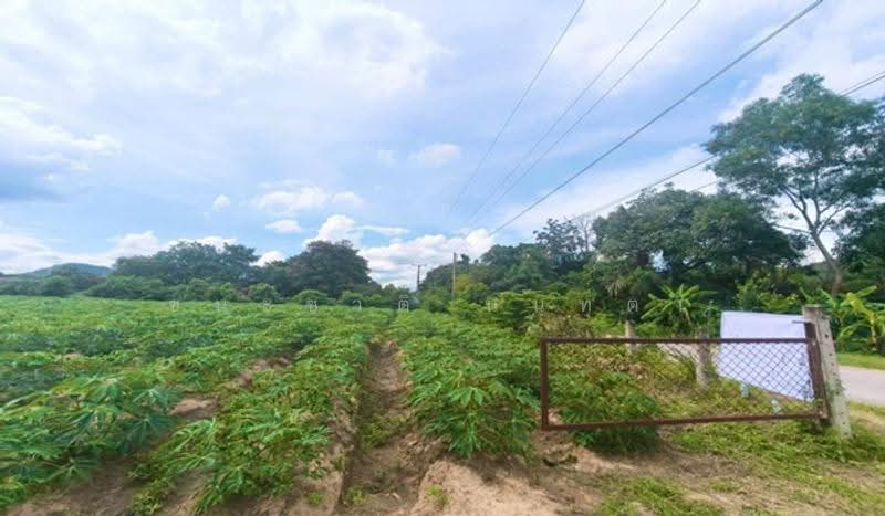 ปากท่อ-ราชบุรี (ทุ่งหลวงซอย 10), ratchaburi, Thung Luang, Pak Tho, Ratchaburi, , 44,268 sqm, Land For Sale, by ชนะชาติ นนท์ตา, 500582895 - DDproperty.com