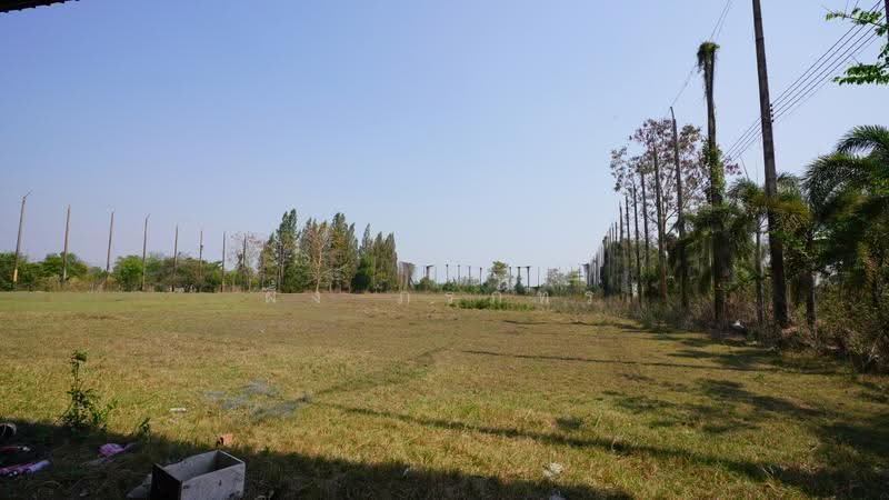 ที่ดิน 83 ไร่ สกลนคร, sakon-nakhon, Dong Ma Fai, Muang Sakon Nakhon, Sakon Nakhon, , 115,200 sqm, Land For Sale, by ผึ้ง ภรภัทร, 500582950 - DDproperty.com