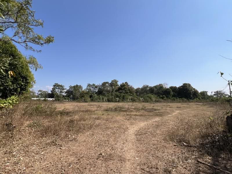 ที่ดิน 83 ไร่ สกลนคร, sakon-nakhon, Dong Ma Fai, Muang Sakon Nakhon, Sakon Nakhon, , 115,200 sqm, Land For Sale, by ผึ้ง ภรภัทร, 500582950 - DDproperty.com
