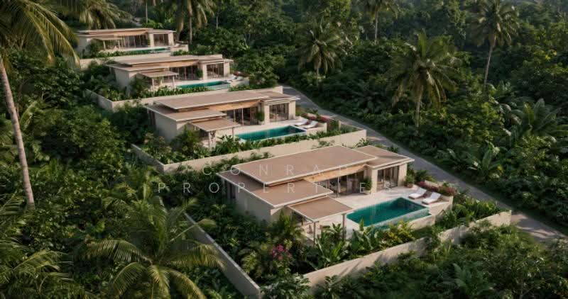 Tropical 3 Bed Modern Sea View Pool Villas in Maenam, surat-thani, Mae Nam, Ko Samui, Surat Thani, 3 Bedrooms, 500 sqm, Villa For Sale, by Conrad Properties, 500583030 - DDproperty.com
