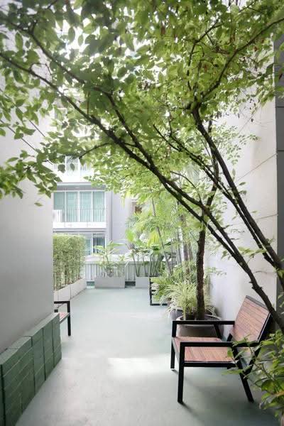 DLV Thonglor 20, Bangkok, 18 Soi Thonglor 20, Thonglor Road, Khlong Tan Nua, Watthana, Bangkok, 1 Bedroom, 66 sqm, Condo For Rent, by Getsarin Aron, 500583056 - DDproperty.com
