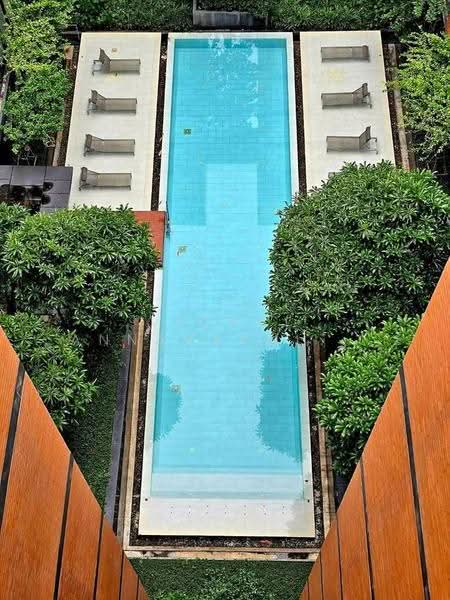 Quintara Treehaus Sukhumvit 42, Bangkok, Soi Bar Bose 2, Sukhumvit 42, Phra Kanong, Khlong Toei, Bangkok, 1 Bedroom, 32 sqm, Condo For Rent, by Vichai Annavakulthorn, 500583112 - DDproperty.com