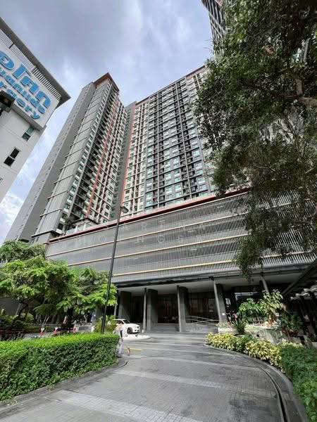 Life Asoke : ไลฟ์ อโศก, กรุงเทพ, ถนนอโศก-ดินแดง แขวงบางกะปิ เขตห้วยขวาง กทม, บางกะปิ, ห้วยขวาง, กรุงเทพ, 30 ตร.ม., คอนโด ให้เช่า, โดย Sarena Choengsamor, 500583180 - DDproperty.com