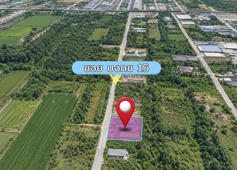 Land for sale Pathum Thani, pathum-thani, Khlong Song, Khlong Luang, Pathum Thani, , 1,200 sqm, Land For Sale, by บริษัท เอชแอล แอสเซท จำกัด, 500583401 - DDproperty.com