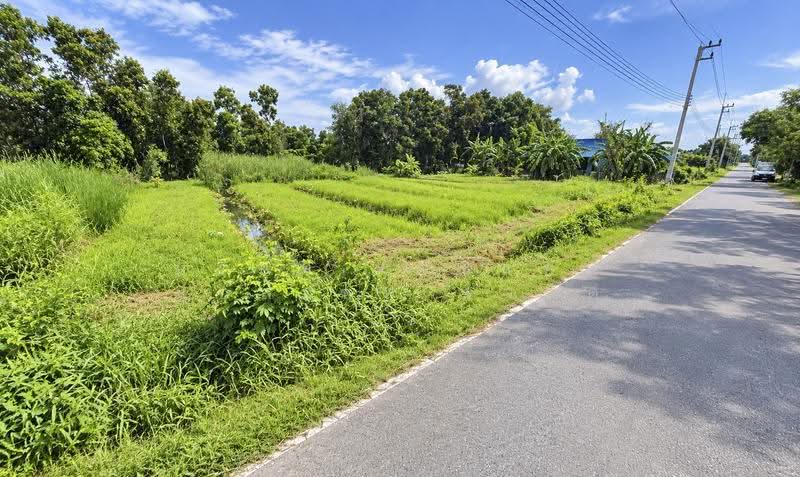 ที่ดินเปล่า คลองสอง ซอย บงกช 15 ปทุมธานี ทำเลดี รูปแปลงสวย, ปทุมธานี, คลองสอง, คลองหลวง, ปทุมธานี, 1,200 ตร.ม., ที่ดิน ขาย, โดย บริษัท เอชแอล แอสเซท จำกัด, 500583401 - DDproperty.com