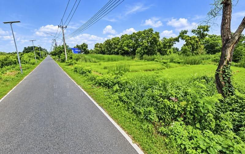 Land for sale Pathum Thani, pathum-thani, Khlong Song, Khlong Luang, Pathum Thani, , 1,200 sqm, Land For Sale, by บริษัท เอชแอล แอสเซท จำกัด, 500583401 - DDproperty.com