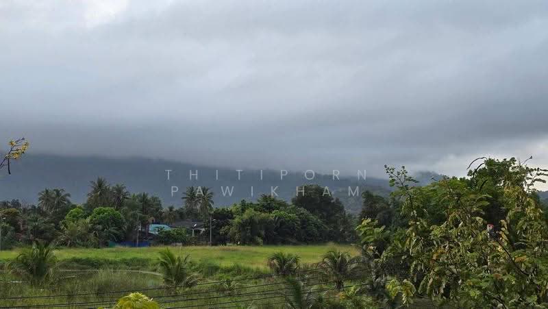 บ้าน 4-ห้องนอน, ชลบุรี, บางพระ, ศรีราชา, ชลบุรี, 368 ตร.ม., บ้านเดี่ยว ขาย, โดย Thitiporn Pawikham, 500583404 - DDproperty.com