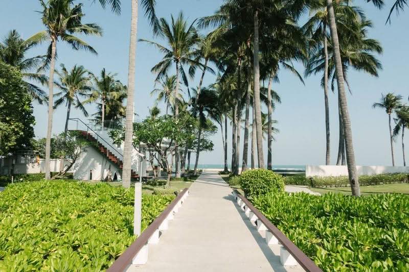 OCAS Hua Hin : โอกาส หัวหิน, ประจวบคีรีขันธ์, ถ.เพชรเกษม, หัวหิน, ประจวบคีรีขันธ์, 110 ตร.ม., คอนโด ขาย, โดย Thitiporn Pawikham, 500583473 - DDproperty.com