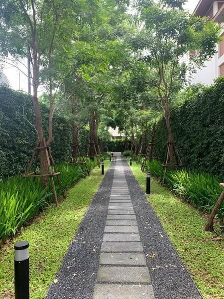 The Sukhothai Residences : เดอะ สุโขทัย เรสซิเด้นซ์, กรุงเทพ, 3 ถนนสาทรใต้ แขวงทุ่งมหาเมฆ เขตสาทร กรุงเทพมหานคร, ทุ่งมหาเมฆ, สาทร, กรุงเทพ, 206 ตร.ม., คอนโด ให้เช่า, โดย Vichai Annavakulthorn, 500583573 - DDproperty.com