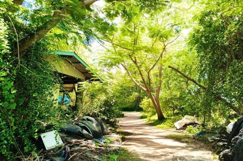 ที่ดินพร้อมบ้าน เนื้อที่ 21-0-37 ไร่ เทศบาลตำบลคลองโคน, สมุทรสงคราม, ยี่สาร, อัมพวา, สมุทรสงคราม, 33,748 ตร.ม., ที่ดิน ขาย, โดย ชนะชาติ นนท์ตา, 500583648 - DDproperty.com