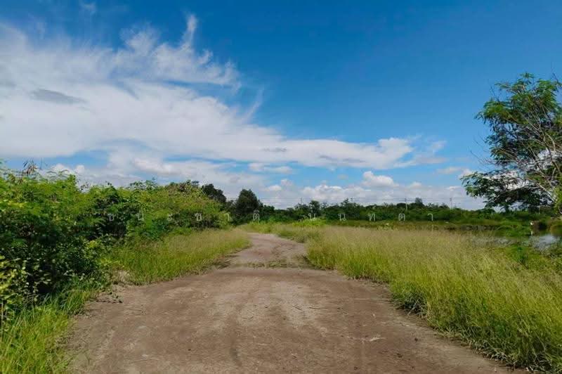 ที่ดินพร้อมบ้าน เนื้อที่ 21-0-37 ไร่ เทศบาลตำบลคลองโคน, สมุทรสงคราม, ยี่สาร, อัมพวา, สมุทรสงคราม, 33,748 ตร.ม., ที่ดิน ขาย, โดย ชนะชาติ นนท์ตา, 500583648 - DDproperty.com