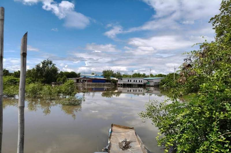 ที่ดินพร้อมบ้าน เนื้อที่ 21-0-37 ไร่ เทศบาลตำบลคลองโคน, samut-songkhram, Yi San, Amphawa, Samut Songkhram, , 33,748 sqm, Land For Sale, by ชนะชาติ นนท์ตา, 500583648 - DDproperty.com