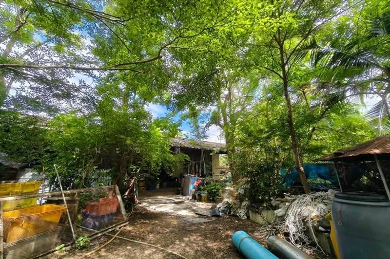 ที่ดินพร้อมบ้าน เนื้อที่ 21-0-37 ไร่ เทศบาลตำบลคลองโคน, สมุทรสงคราม, ยี่สาร, อัมพวา, สมุทรสงคราม, 33,748 ตร.ม., ที่ดิน ขาย, โดย ชนะชาติ นนท์ตา, 500583648 - DDproperty.com