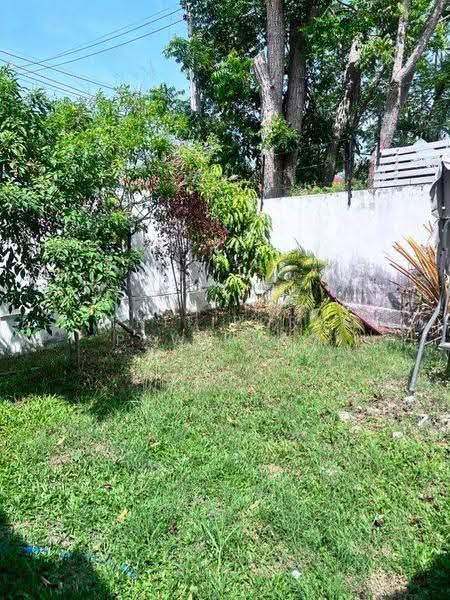 3-BR House, Chon Buri (Pattaya), Nong Pla Lai, Bang Lamung (Pattaya), Chon Buri (Pattaya), 3 Bedrooms, 263 sqm, Single Detached House For Rent, by Thitiporn Pawikham, 500583774 - DDproperty.com