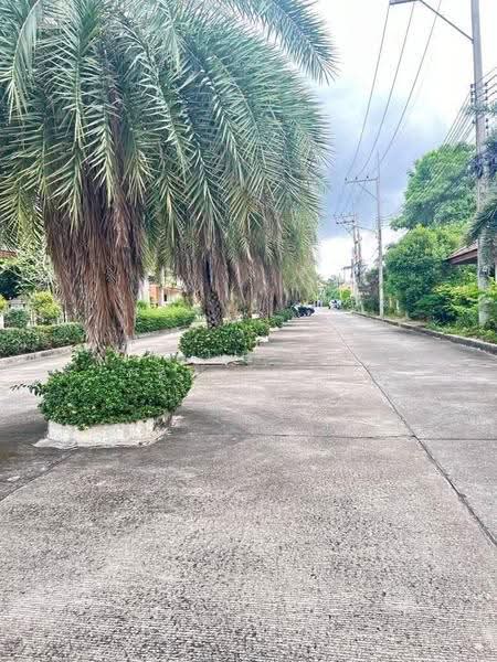 2-BR House, chon-buri, Nong Pru, Bang Lamung (Pattaya), Chon Buri (Pattaya), 2 Bedrooms, 304 sqm, Single Detached House For Sale, by Thitiporn Pawikham, 500583826 - DDproperty.com